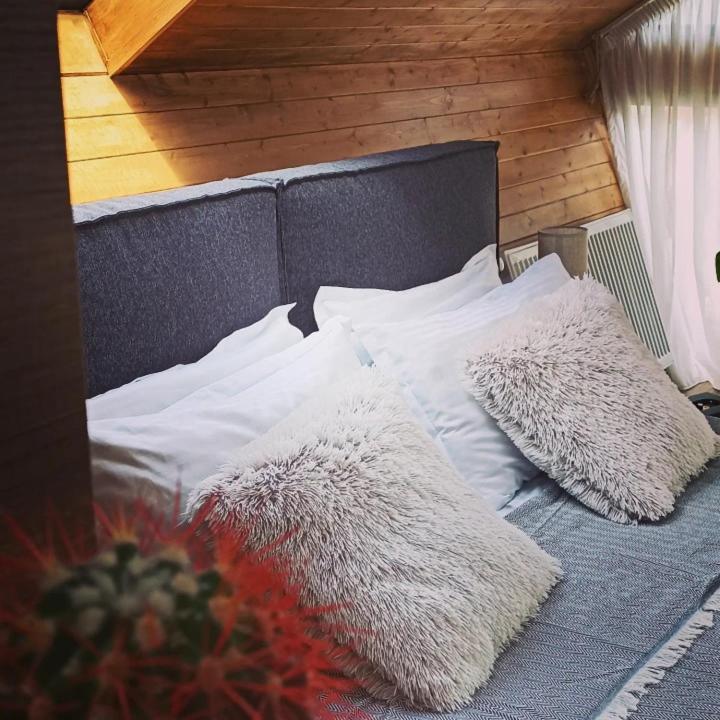Cottage Toladi Kazbegi Esterno foto